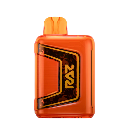 RAZ TN9000 DISPOSABLE VAPE - 9000 PUFFS