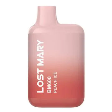 LOST MARY BM600 POD KIT